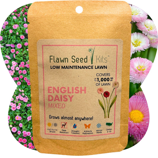 English Daisy 'Mixed' Seed Pouch (LIMITED SUPPLY)