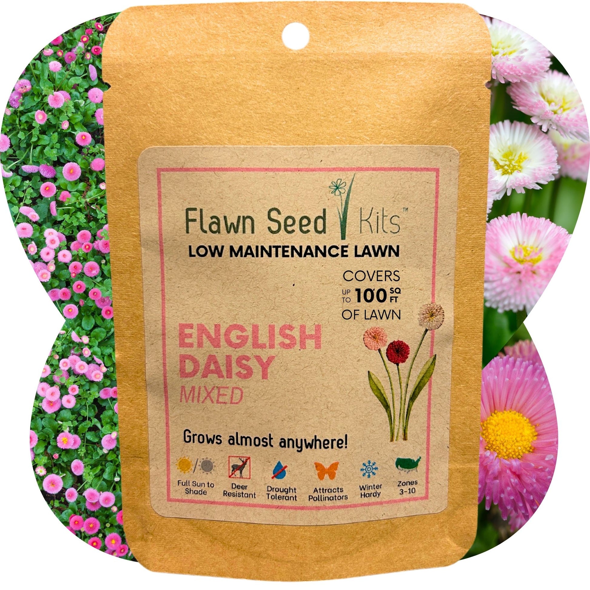 Flawn Seed Mixed Daisy Flowering Lawn Seed - Kid, Pet, Pollinator &  Eco-Friendly Grass Alternative - Easy to Use & Cost Effective – Flawn Seed  Kits