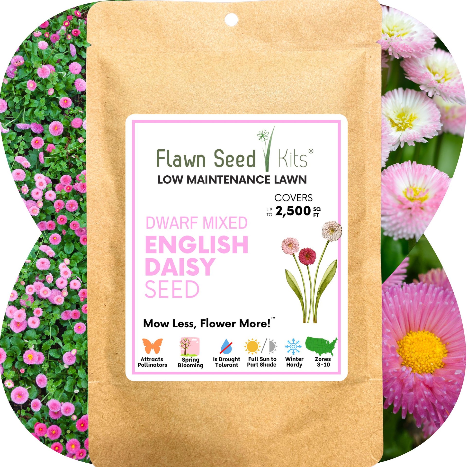 Flawn Seed Mixed Daisy Flowering Lawn Seed - Kid, Pet, Pollinator &  Eco-Friendly Grass Alternative