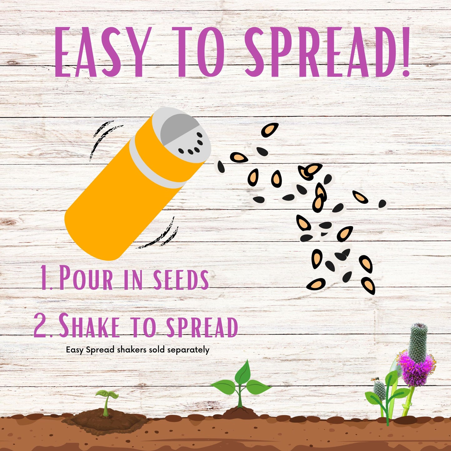 Purple Prairie Clover Seed