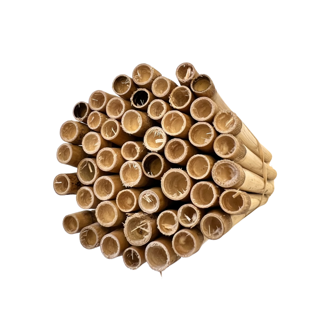Spring Natural Reeds for Mason Bees - 8mm