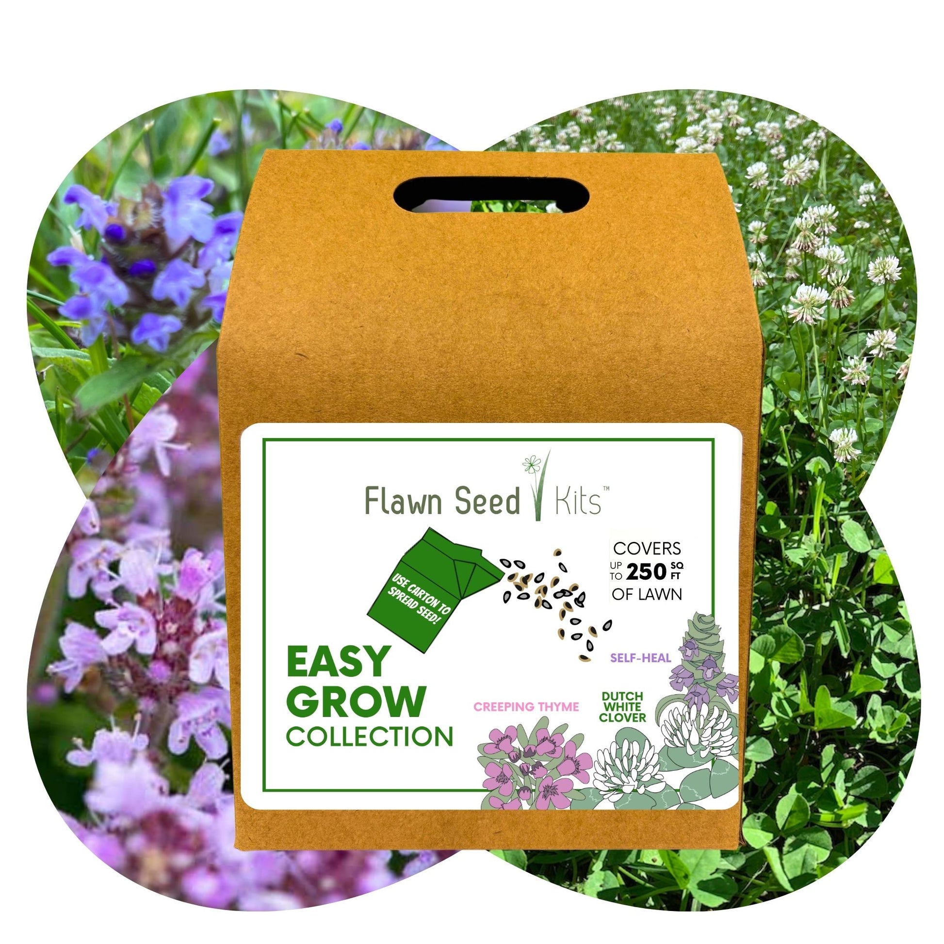 Bee Lawn Flowering Pollinator Seed Kit, Dutch White Clover Blooms, Self-Heal Blooms, Creeping Thyme Blooms, Easy Spread Eco-Friendly Container
