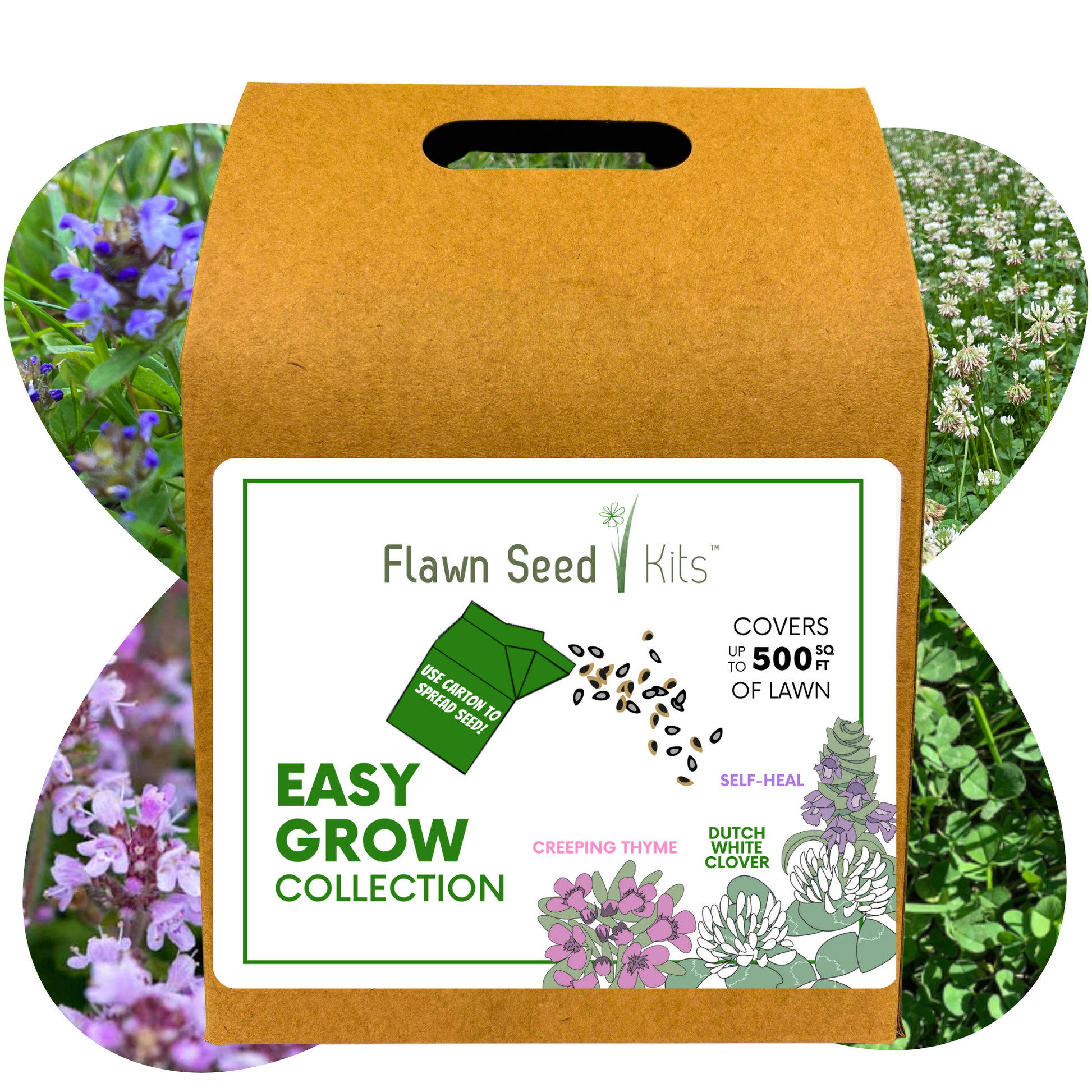 Bee Lawn Flowering Pollinator Seed Kit, Dutch White Clover Blooms, Self-Heal Blooms, Creeping Thyme Blooms, Easy Spread Eco-Friendly Container