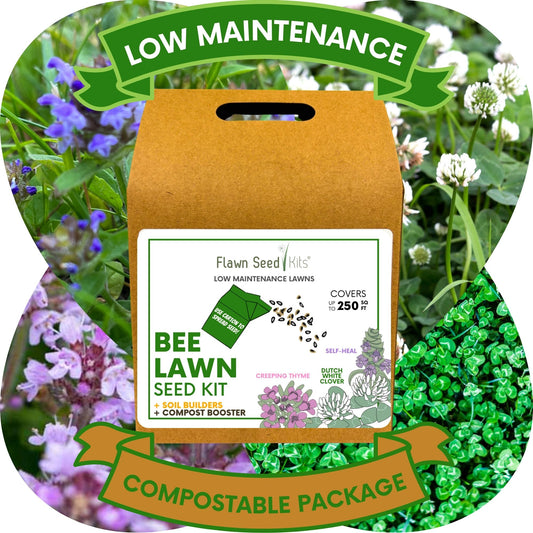 Easy Grow Dutch Clover Bee Lawn Eco-Friendly Kit