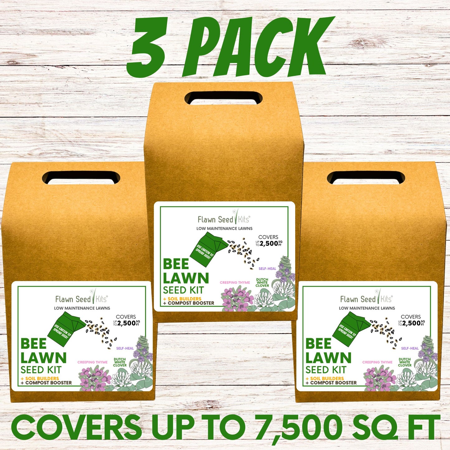 Easy Grow Dutch Clover Bee Lawn Eco-Friendly Kit