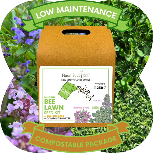 Easy Grow Micro Bee Lawn Eco-Friendly Kit
