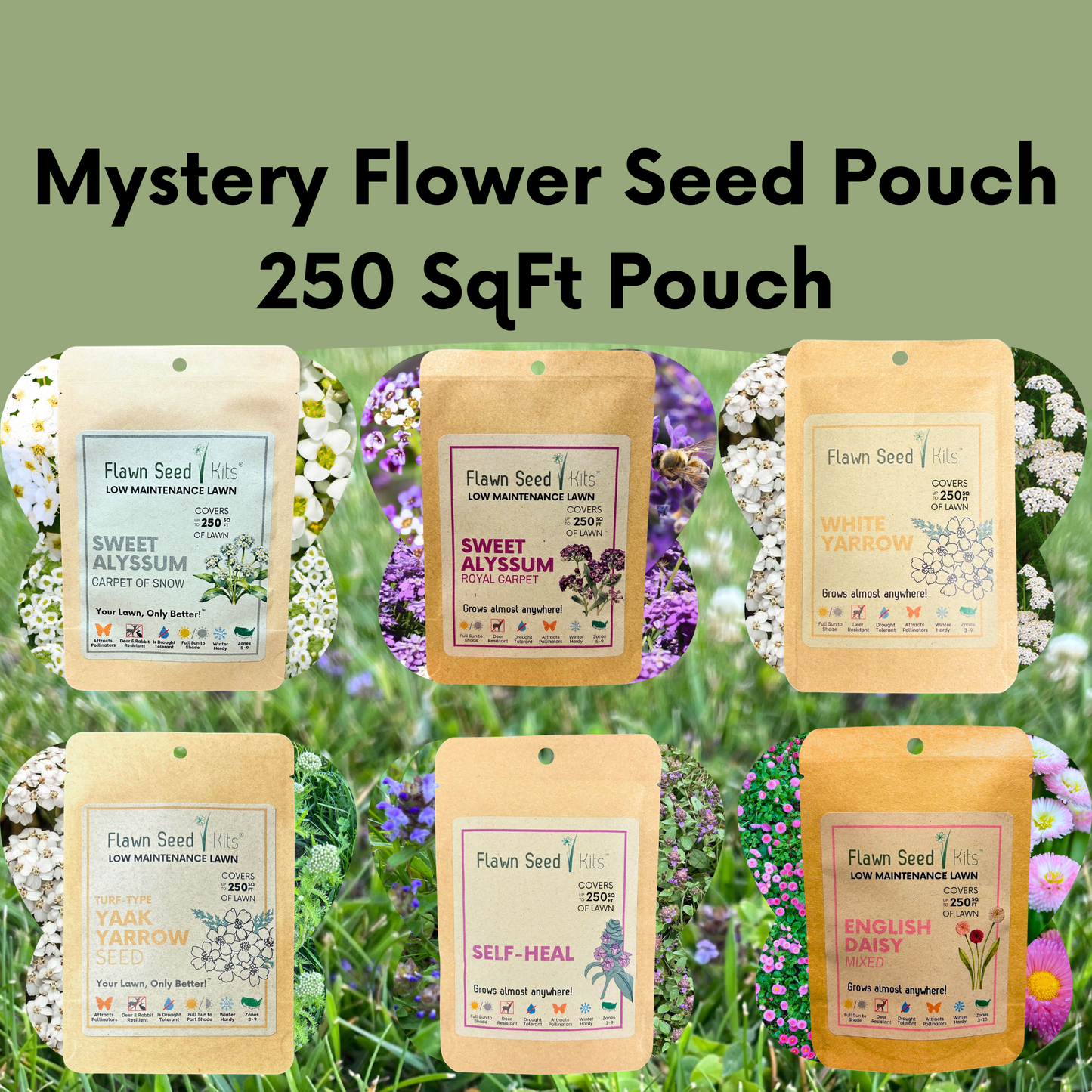 Mystery Flower Seed Pouch