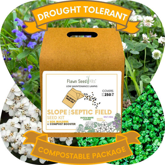 Slope and Septic System Seed Kit