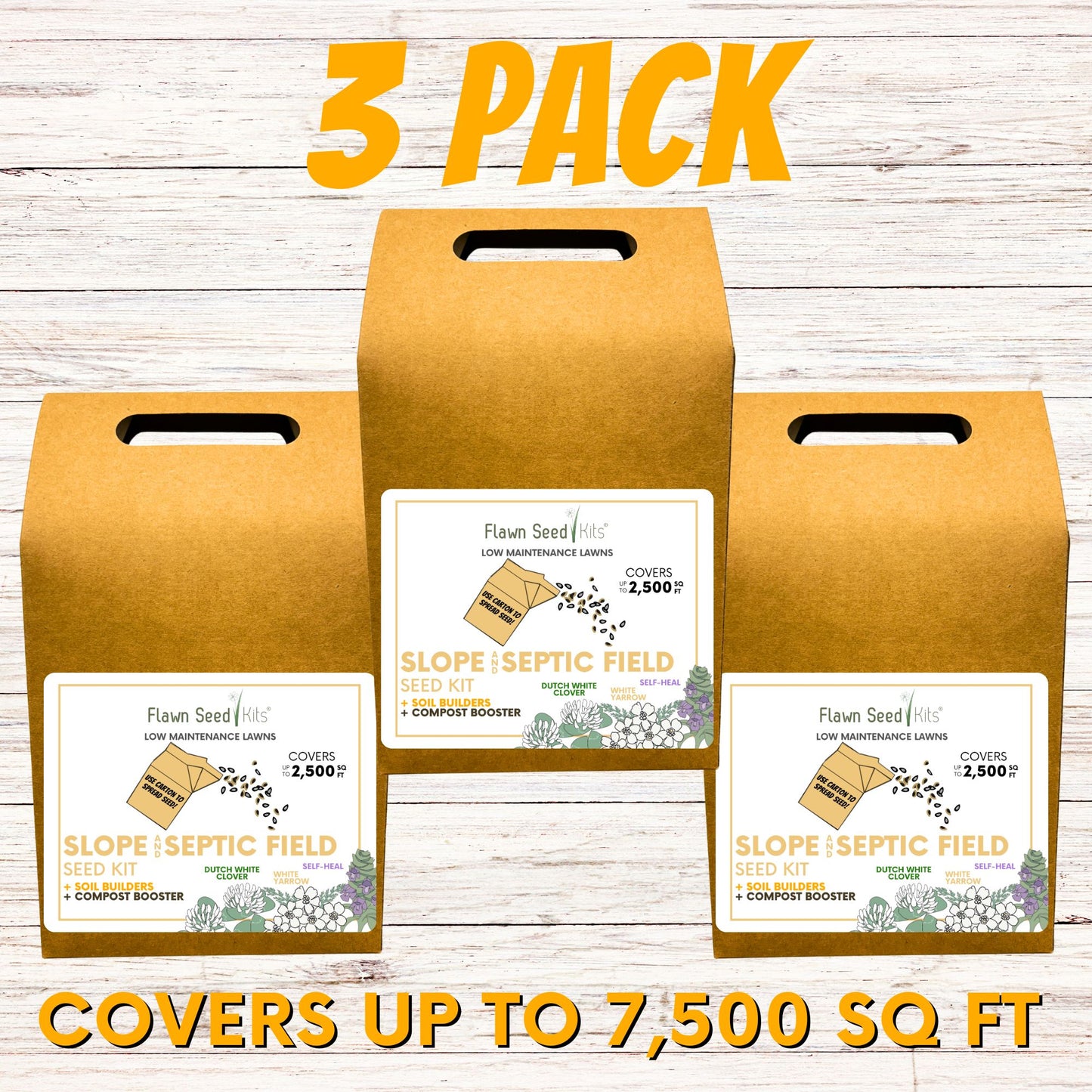 Slope and Septic System Seed Kit