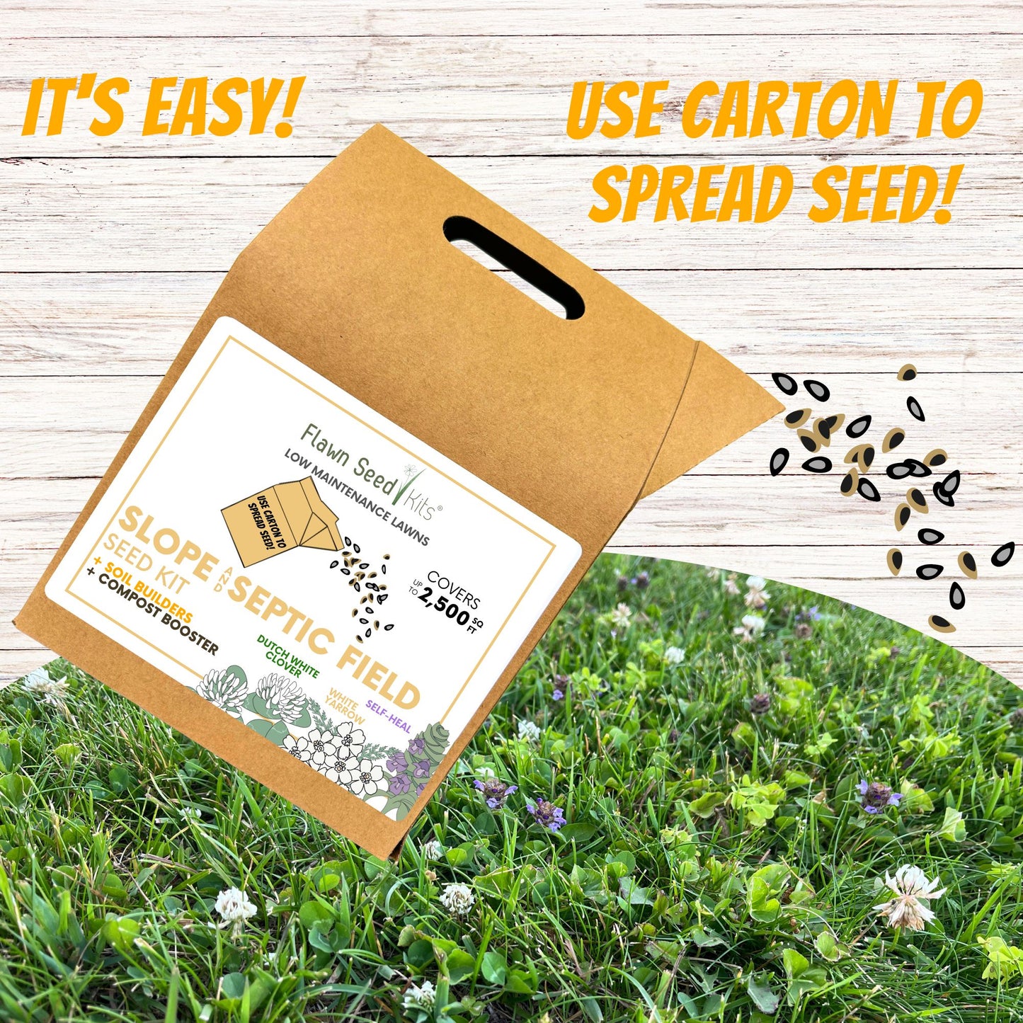 Slope and Septic System Seed Kit