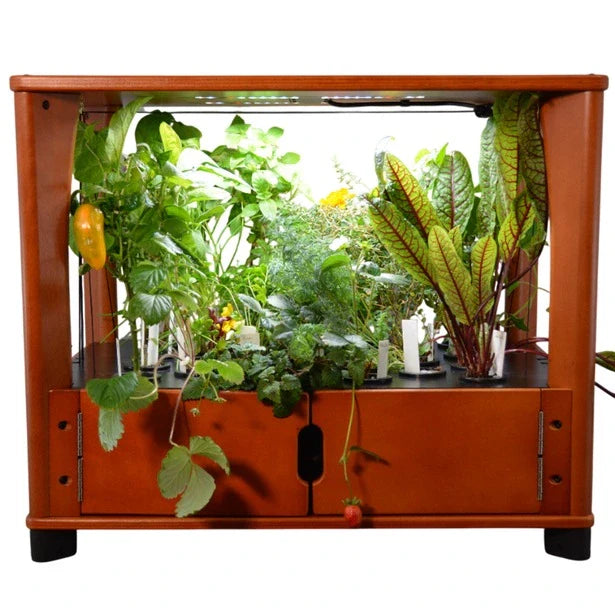 Furniture-Style Hydroponic Home Farm