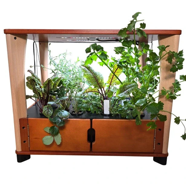 Furniture-Style Hydroponic Home Farm