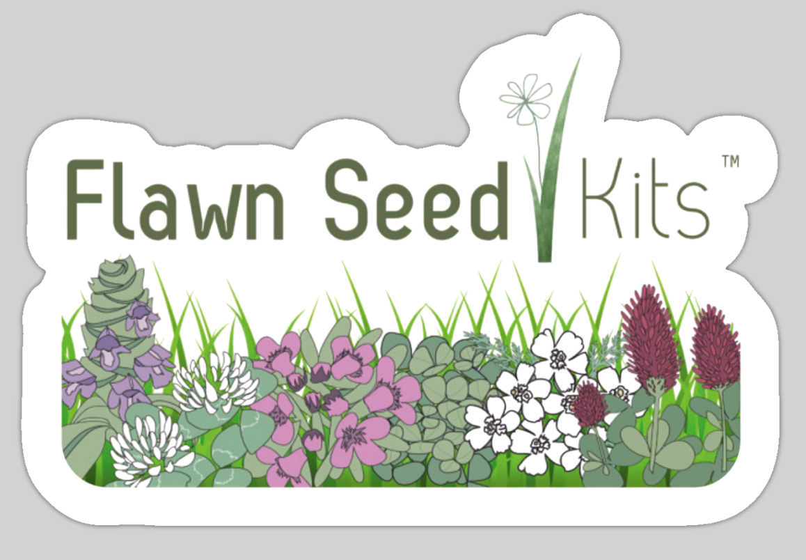 Flawn Seed Kits 2.5" Sticker