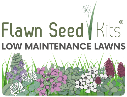 Flawn Seed Kits