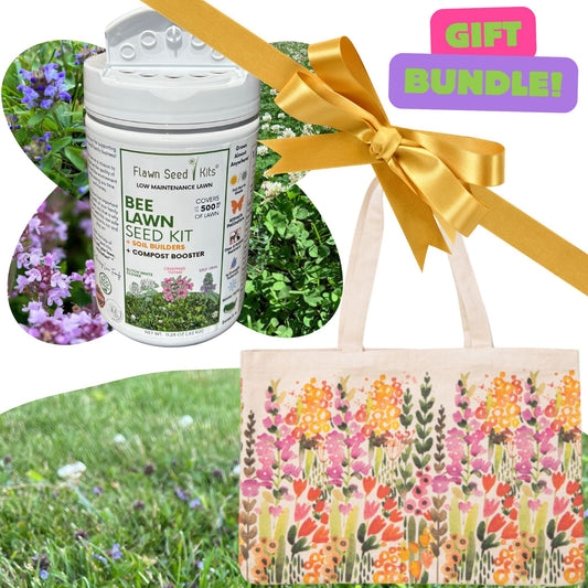 Bee Lawn Seed Kit Gift Bundle