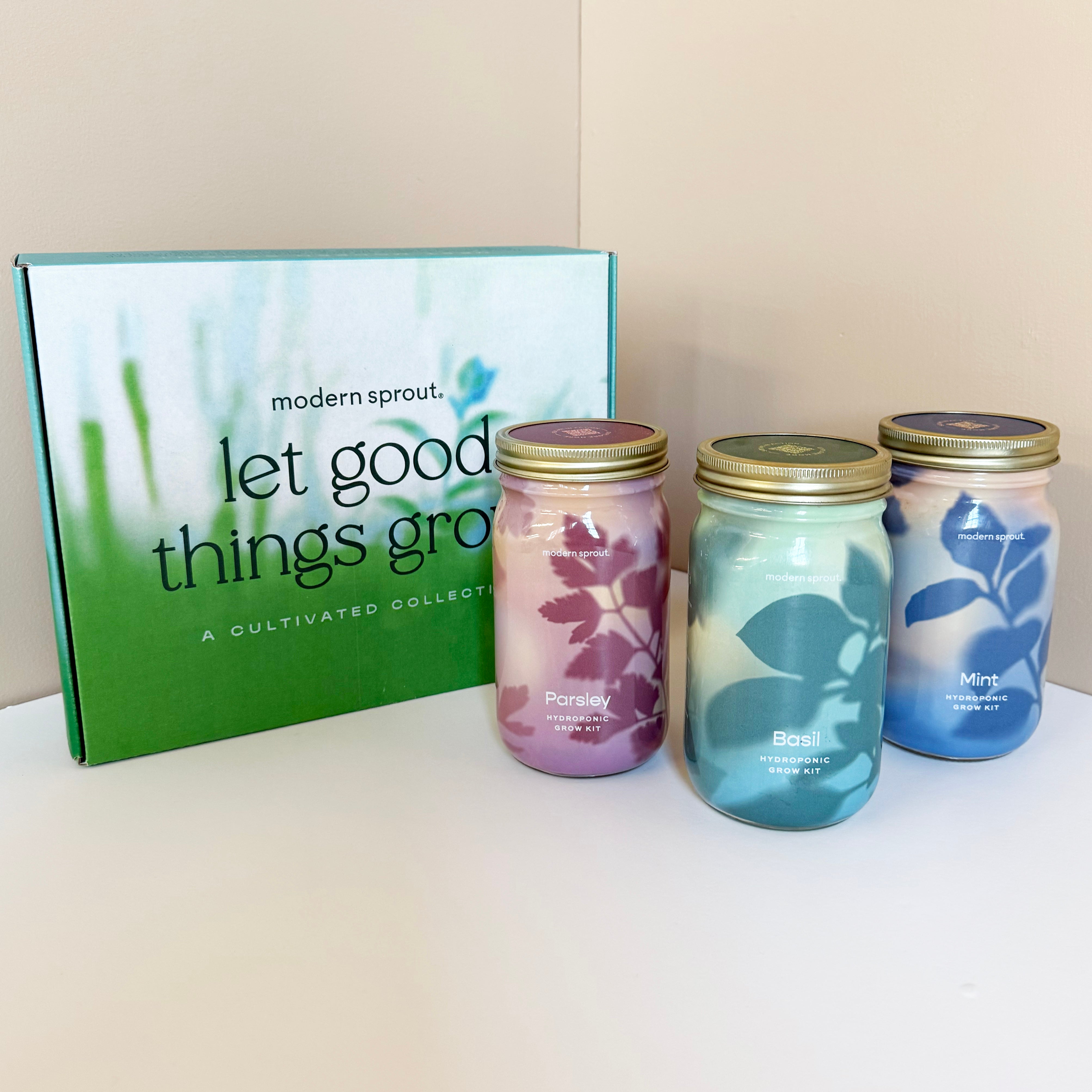 Garden Jars - Organic Herbs – Flawn Seed Kits Garden Jars - Organic Herbs – Flawn Seed Kits