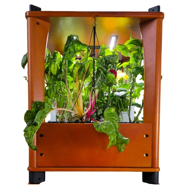 Furniture-Style Hydroponic Home Farm