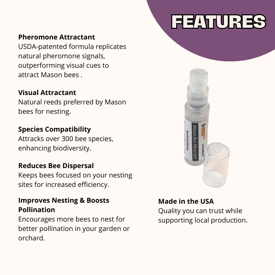 InvitaBee Mason Bee Attractant