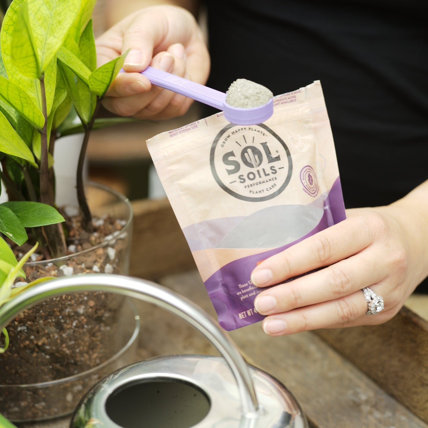 Sol Biotics - Repot Recovery - Repotting Shock Treatment