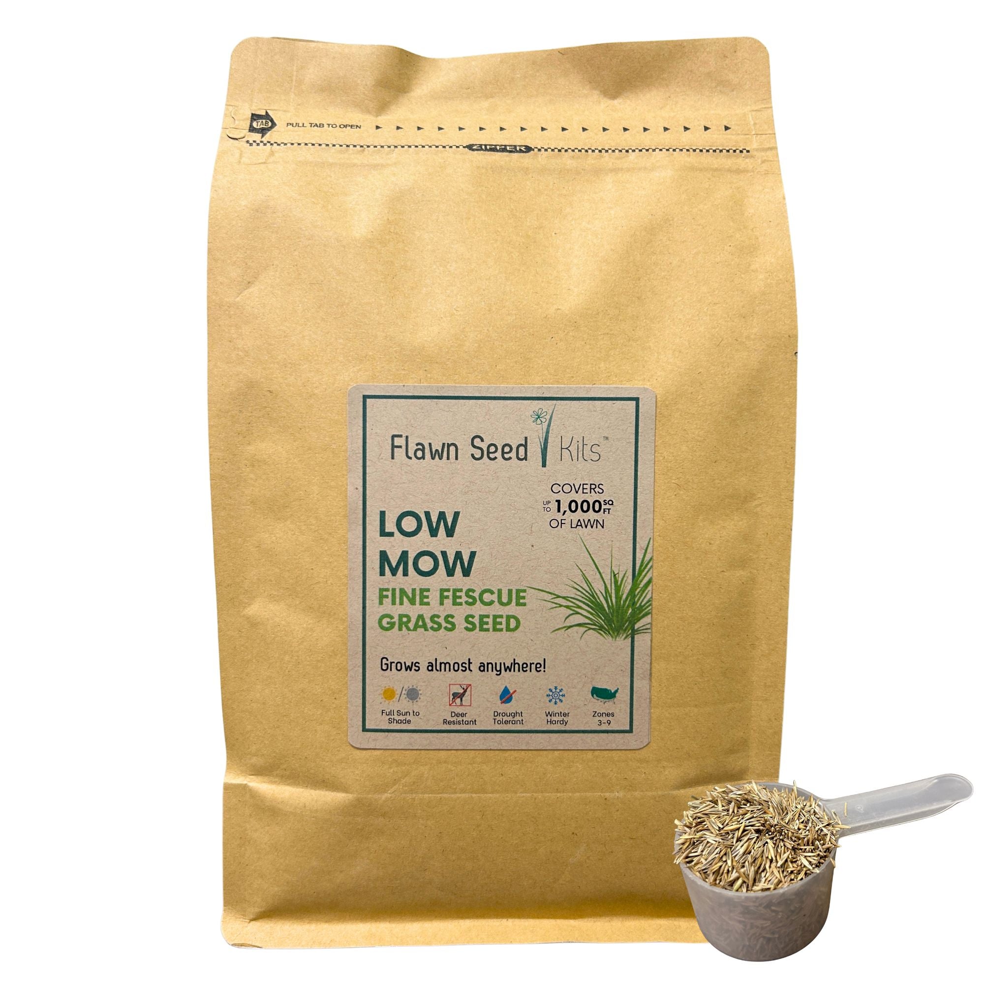 Low Mow Grass Seed Kit - Kid, Pet, Pollinator & Eco-Friendly Grass ...