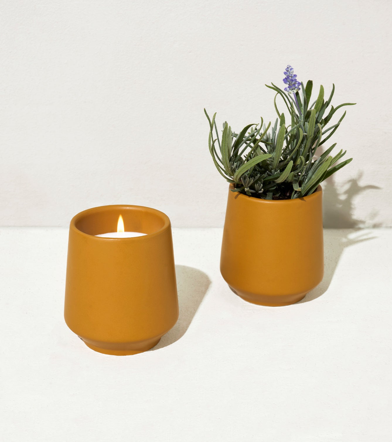 candles with seeds to plant Rooted Candles