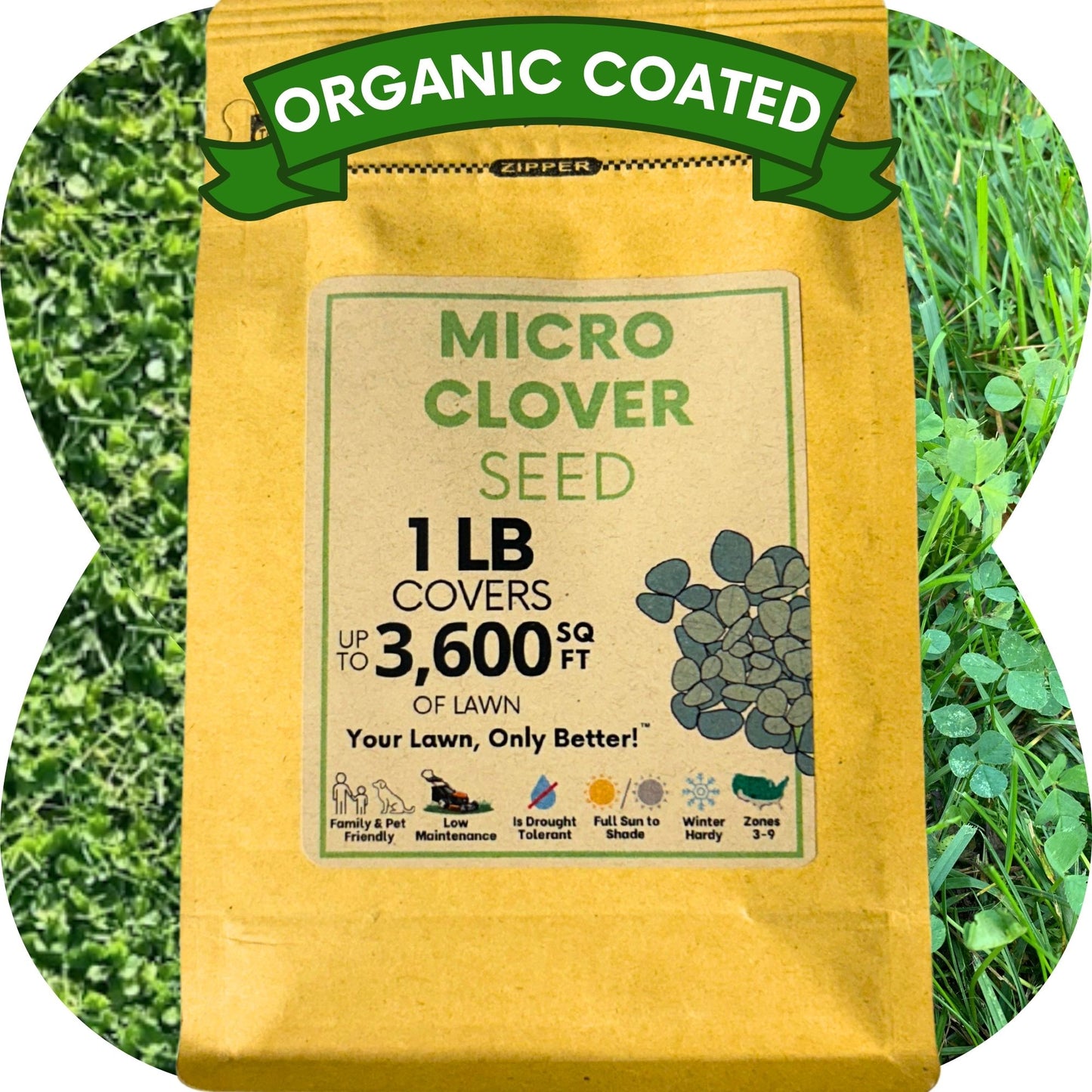 Micro Clover Seed