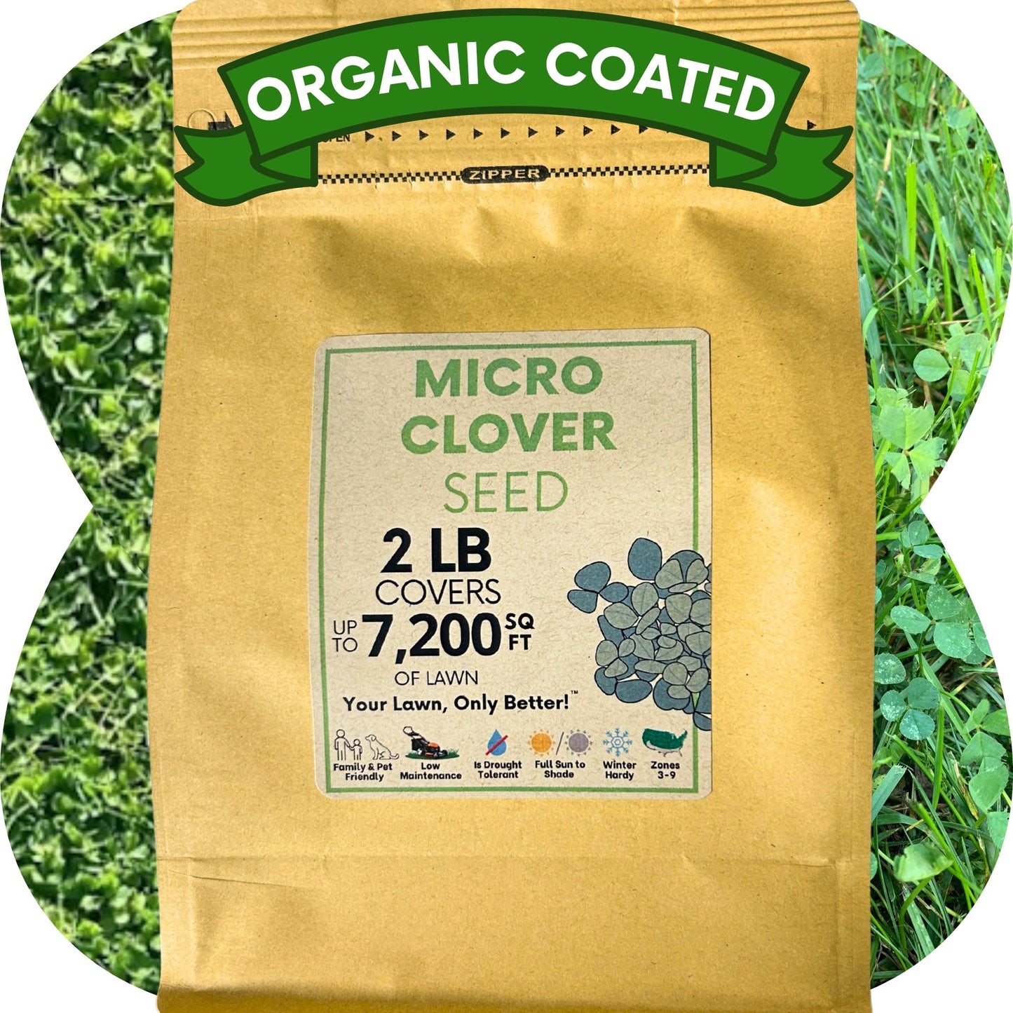 Micro Clover Seed
