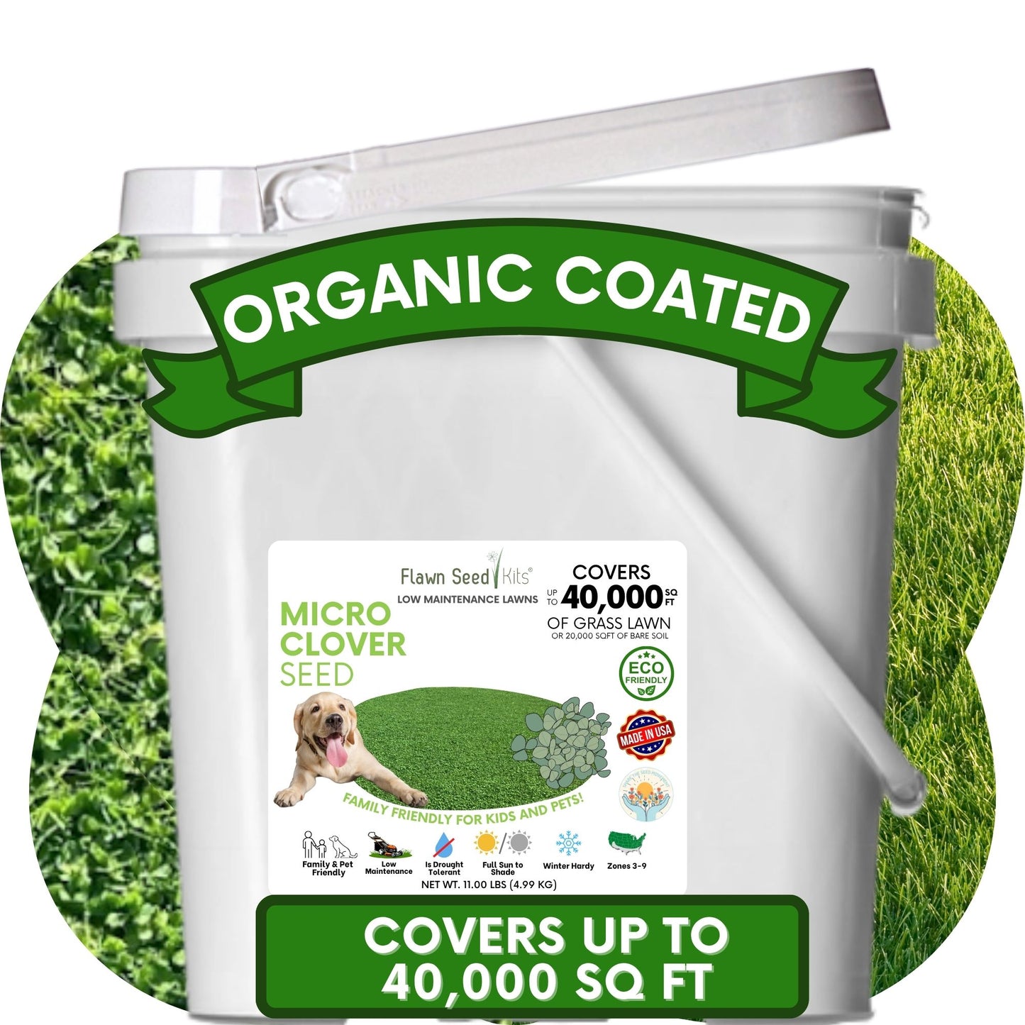 Micro Clover Seed
