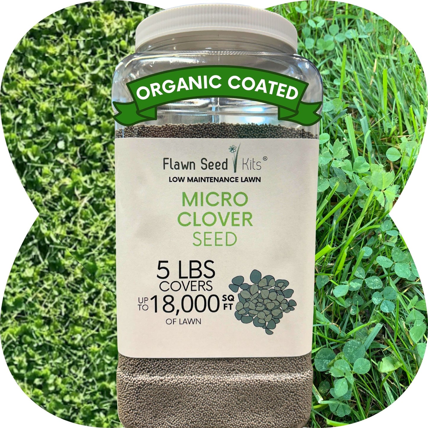 Micro Clover Seed