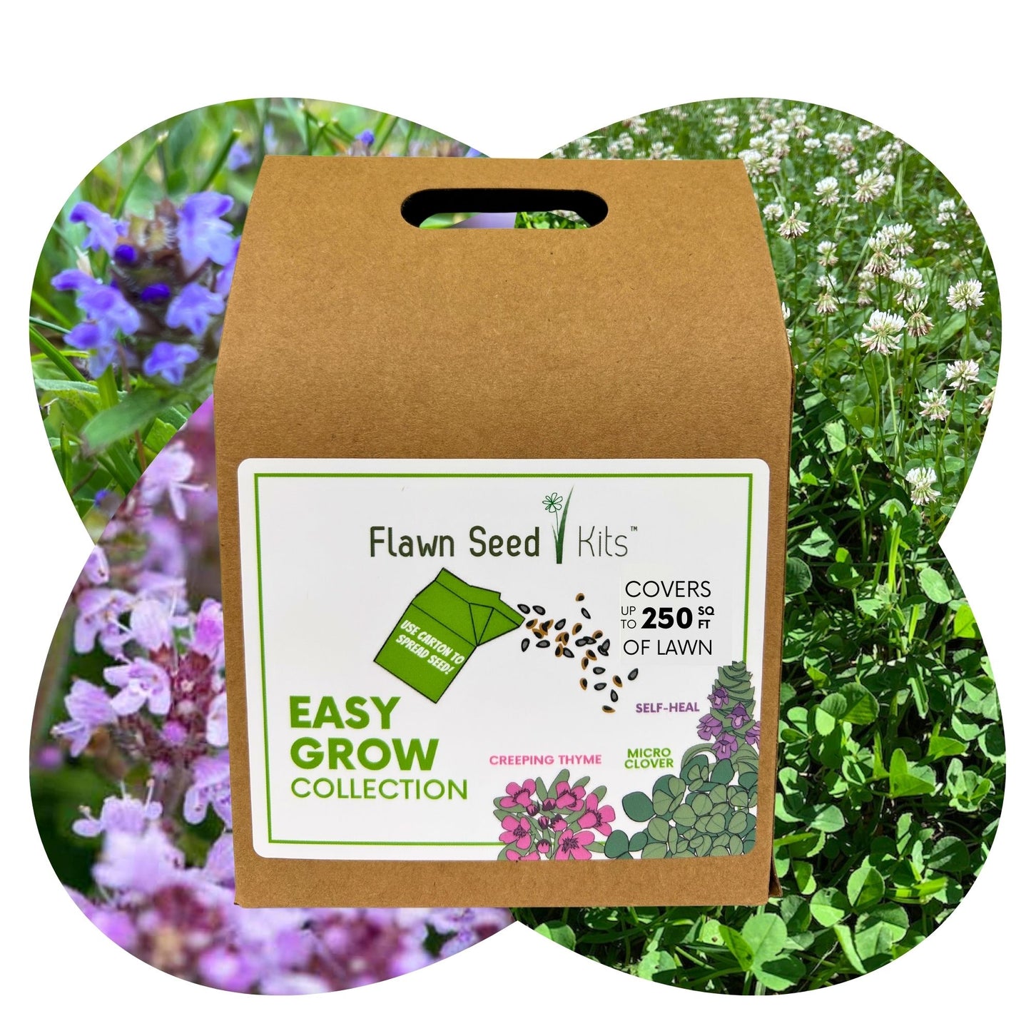 Micro Bee Lawn Flowering Pollinator Seed Kit, Micro Clover Blooms, Self-Heal Blooms, Creeping Thyme Blooms, Easy Spread Eco-Friendly Container