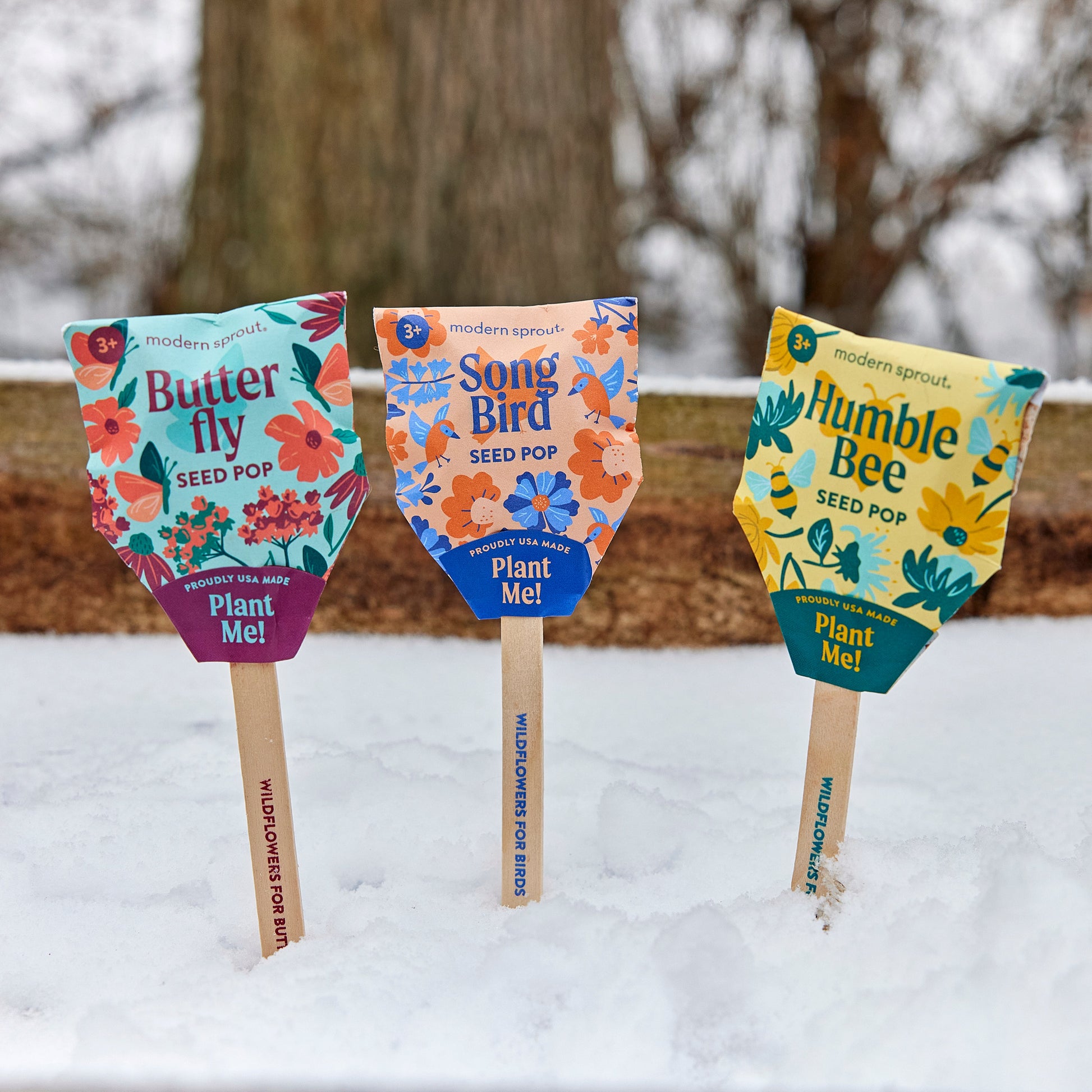 wildflower seed popper Pollinator Seed Pop