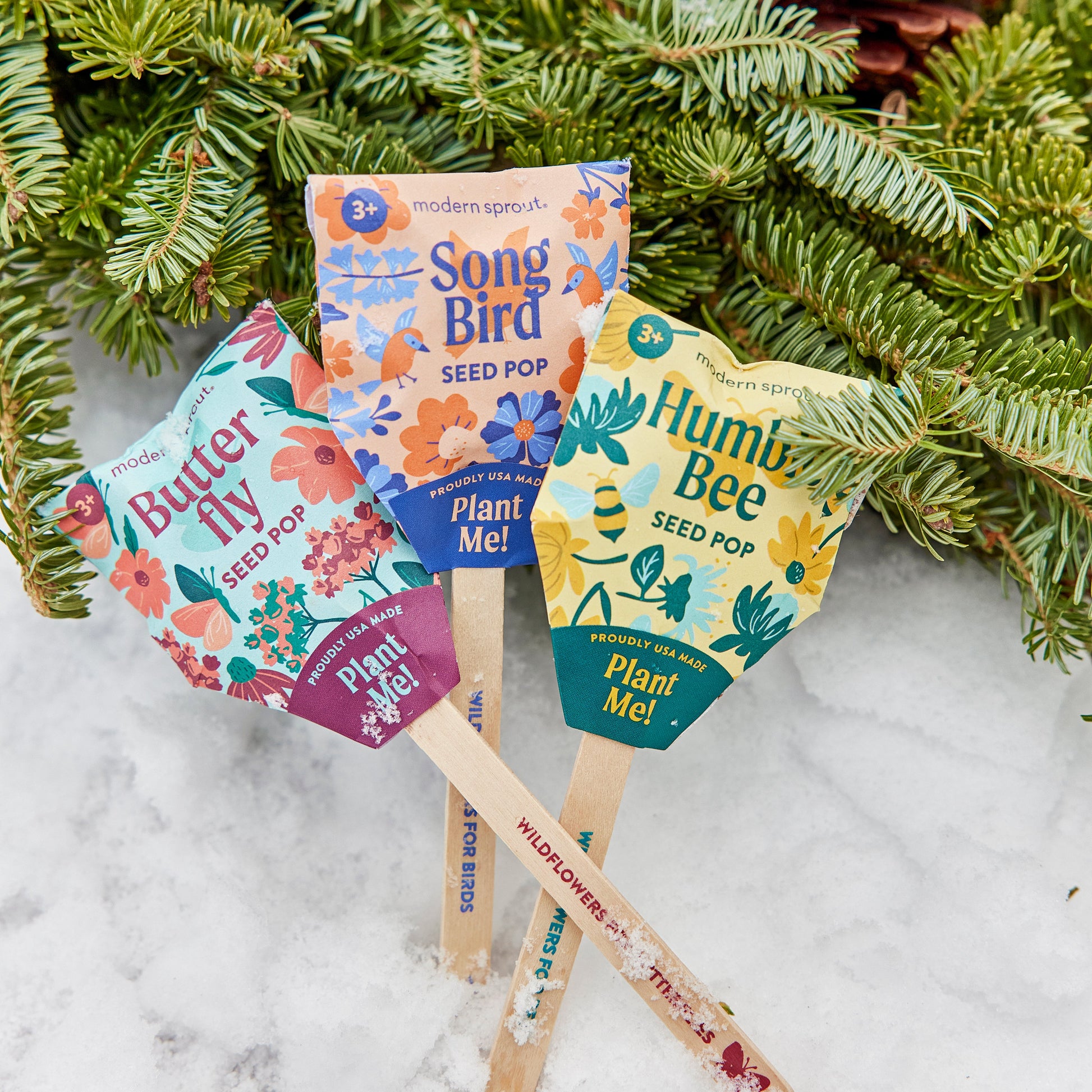 wildflower seed pops Pollinator Seed Pop