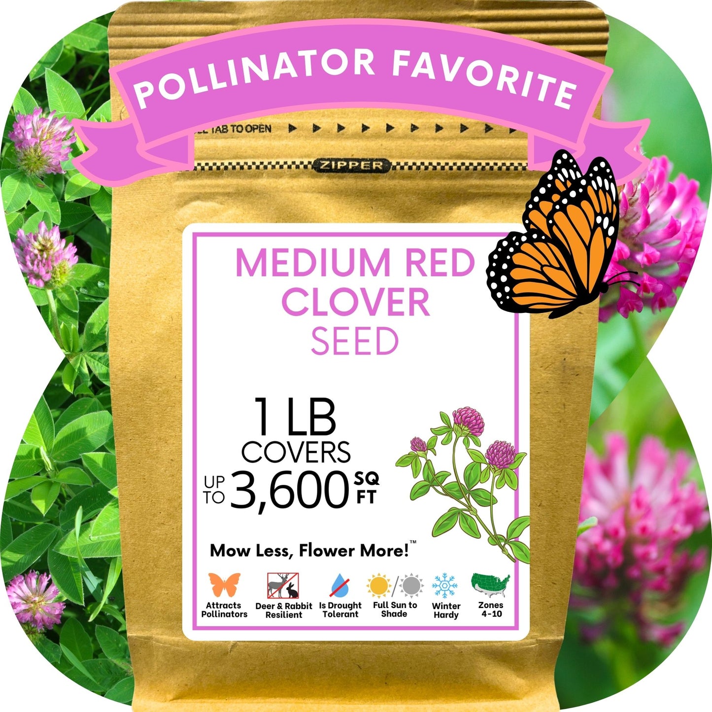Medium Red Clover Seed