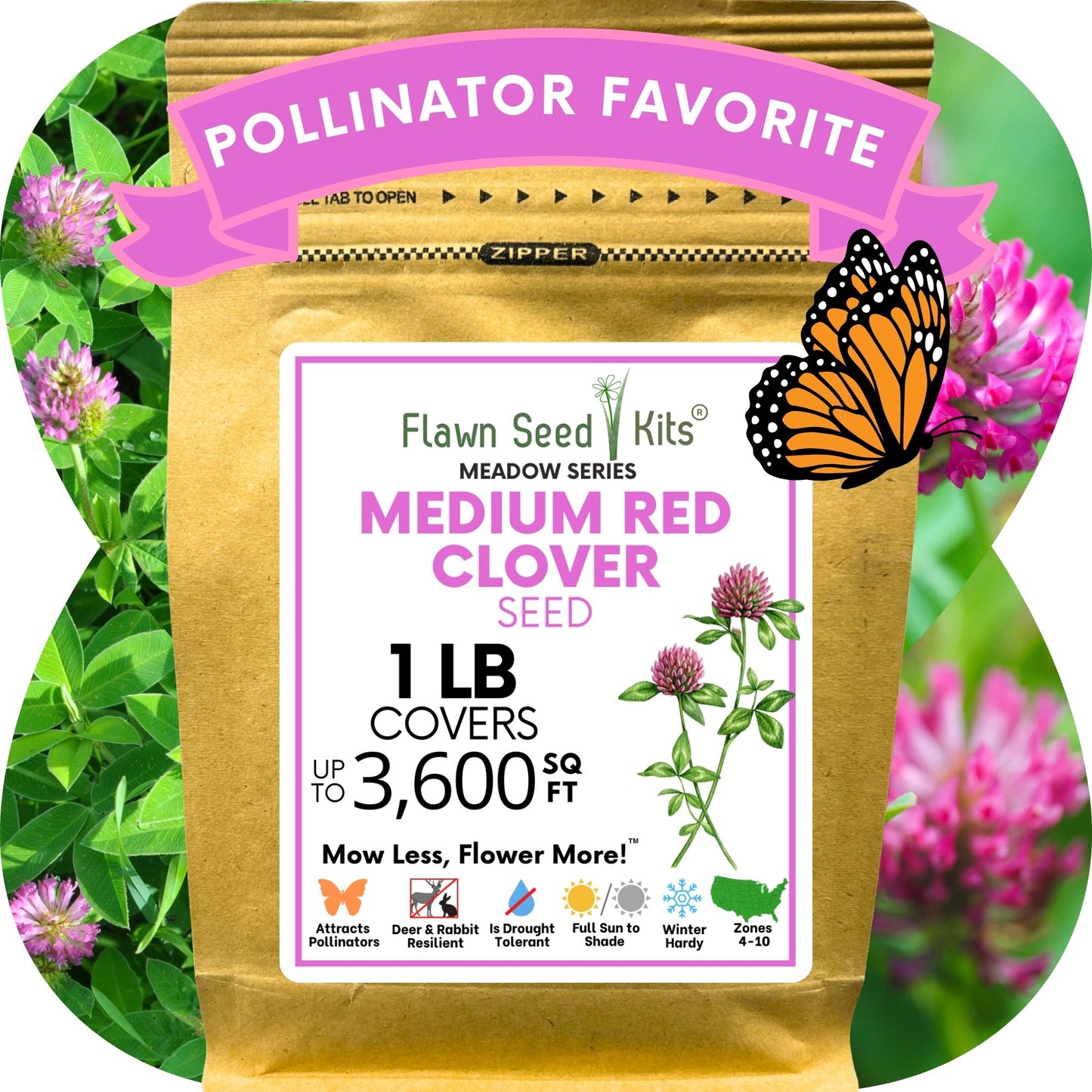 Medium Red Clover Seed