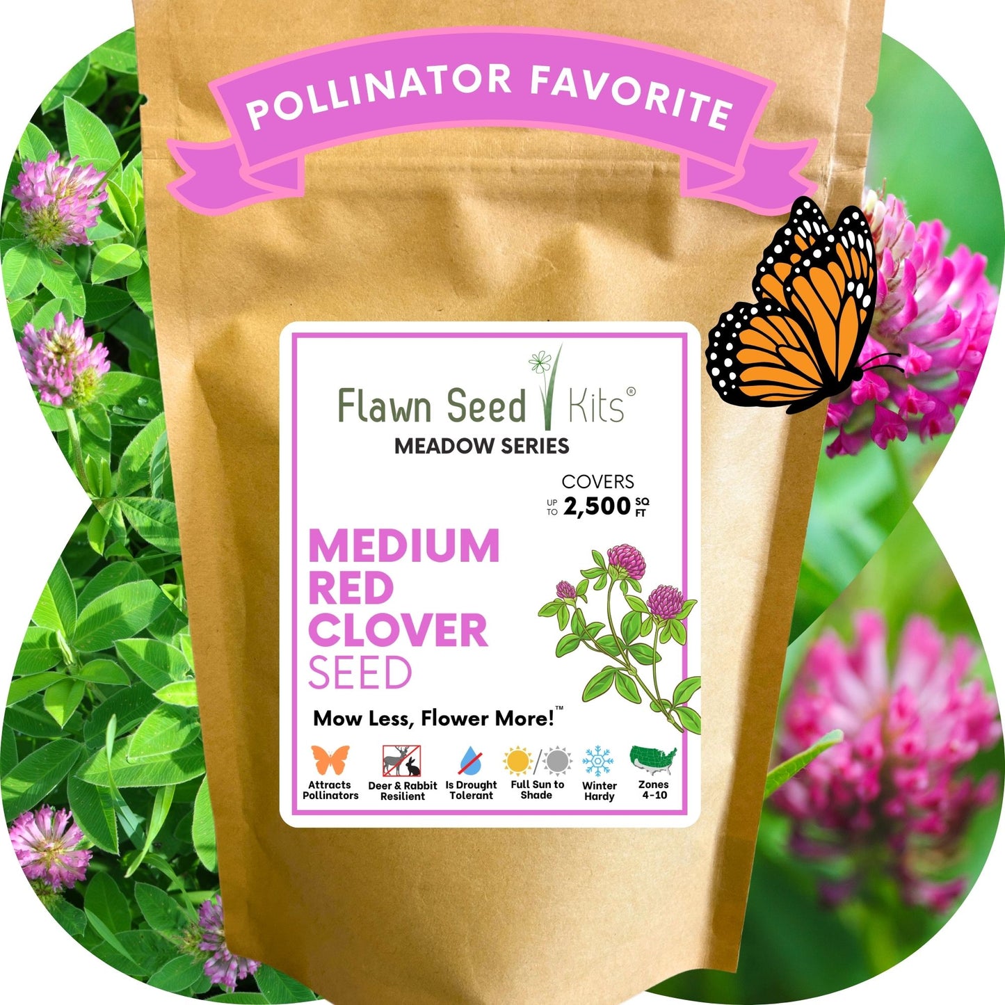 Medium Red Clover Seed