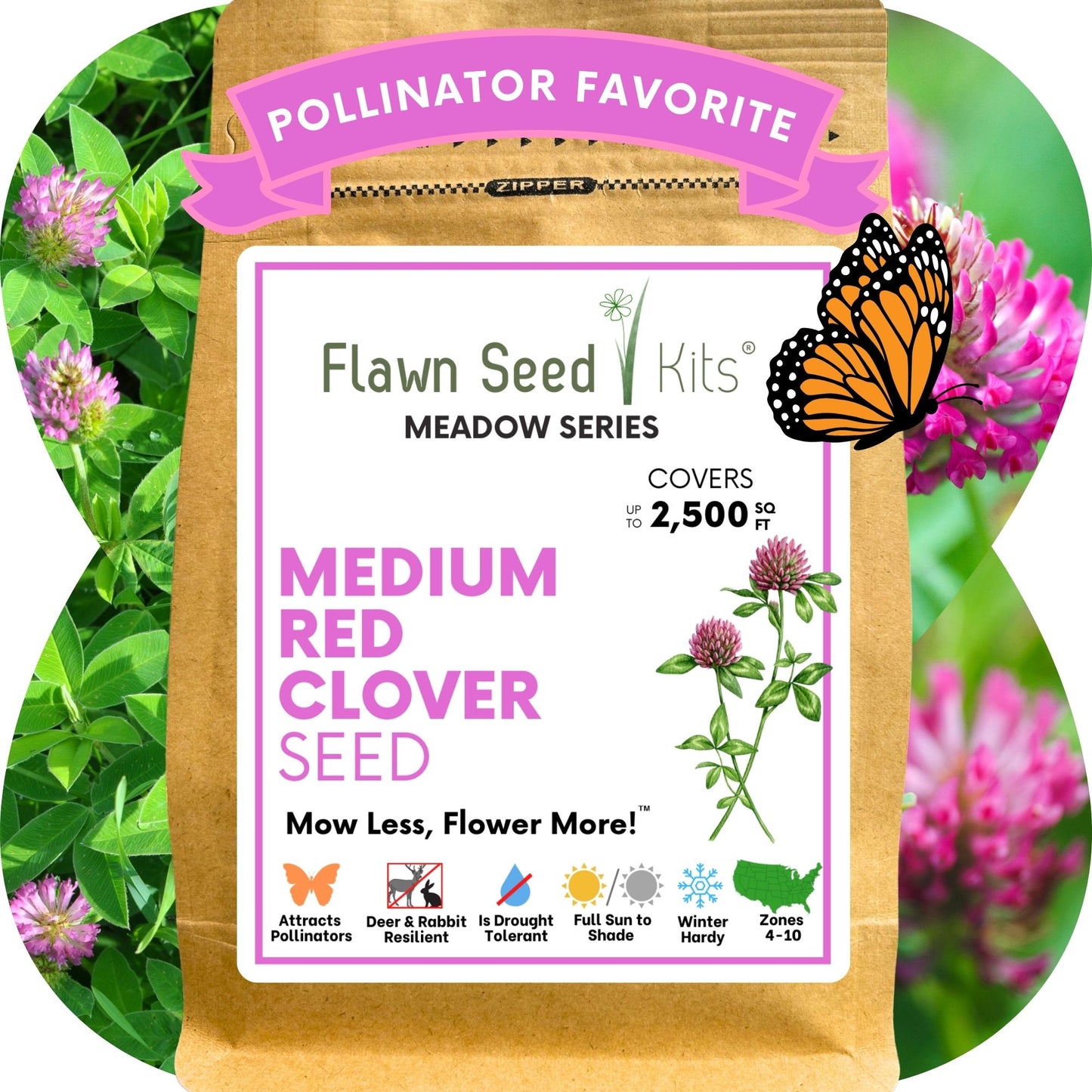Medium Red Clover Seed