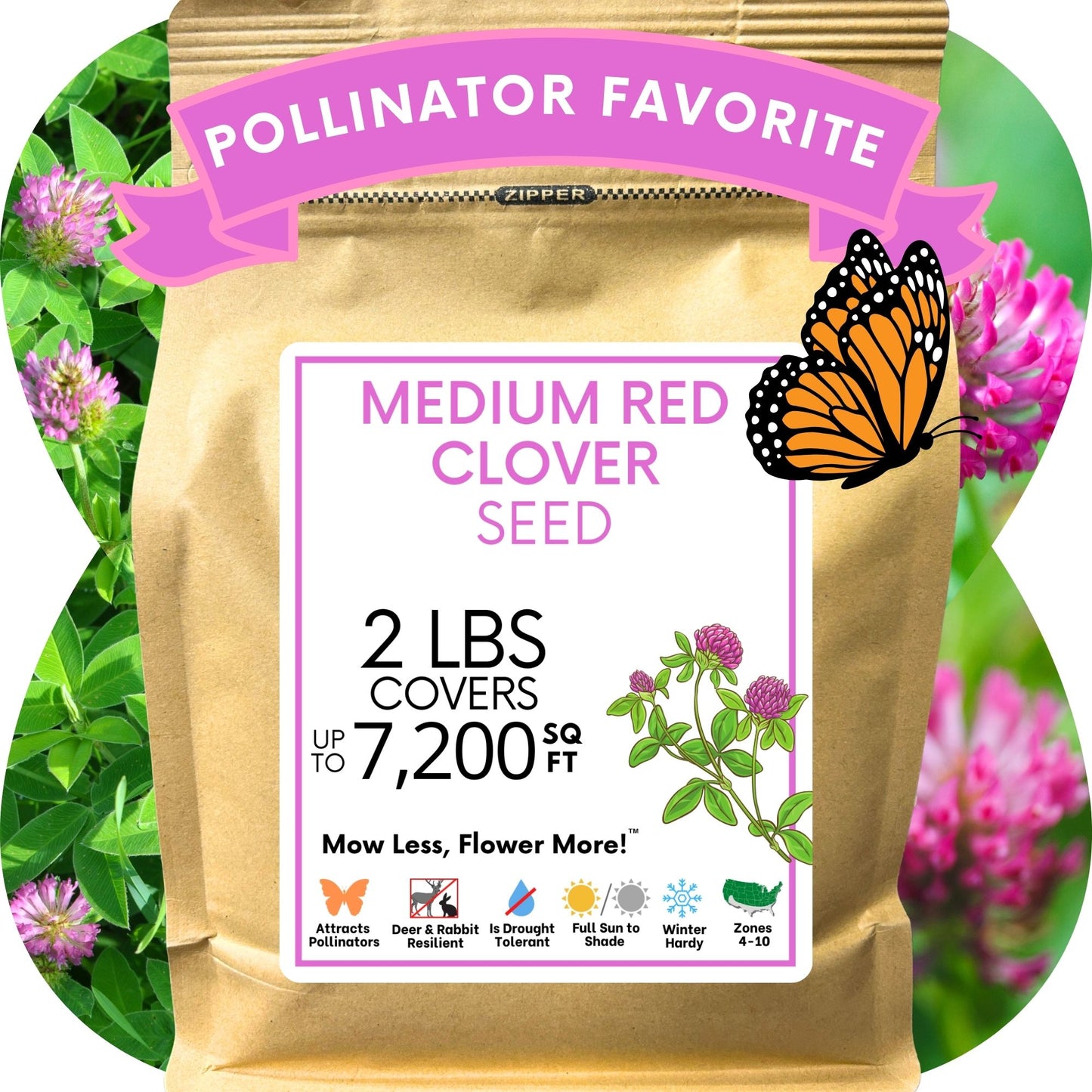 Medium Red Clover Seed
