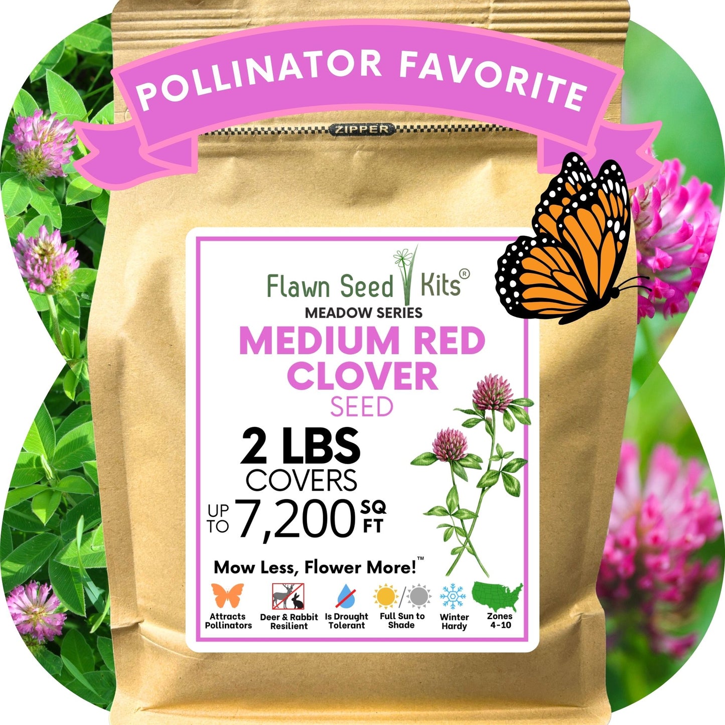 Medium Red Clover Seed