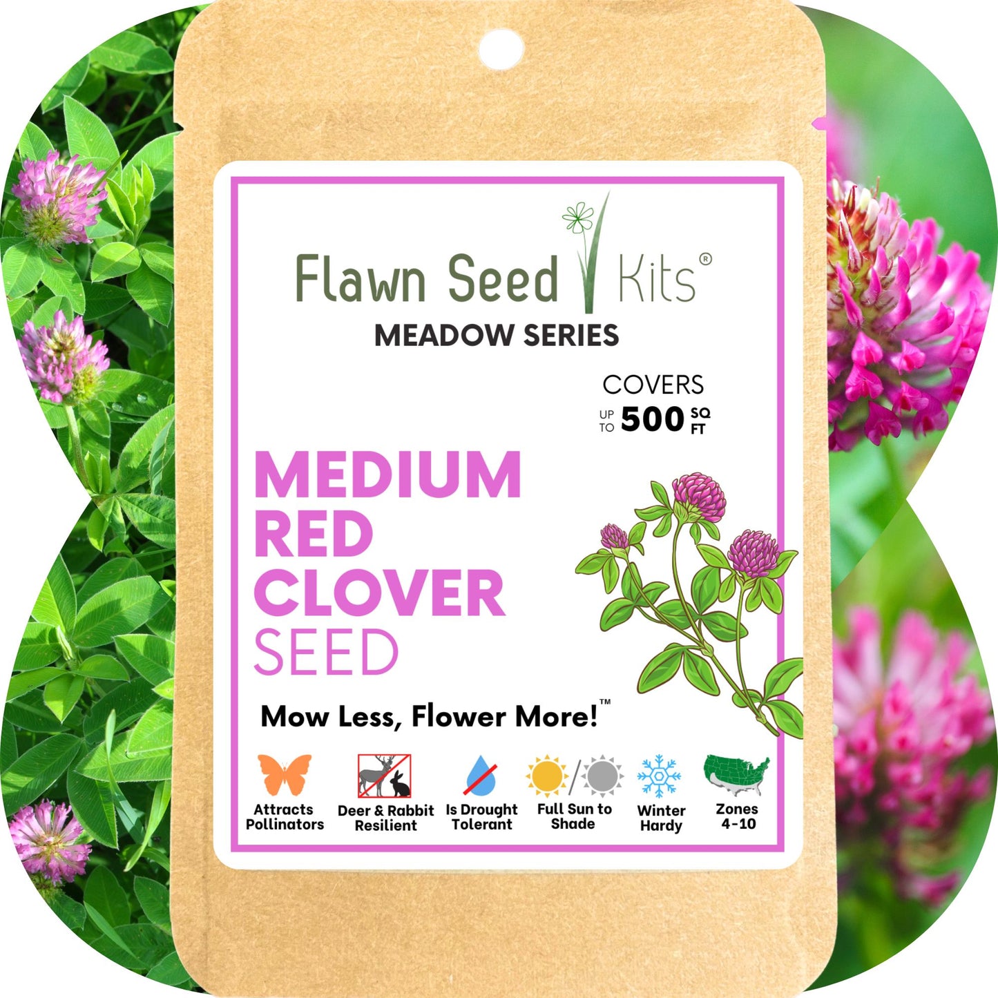 Medium Red Clover Seed