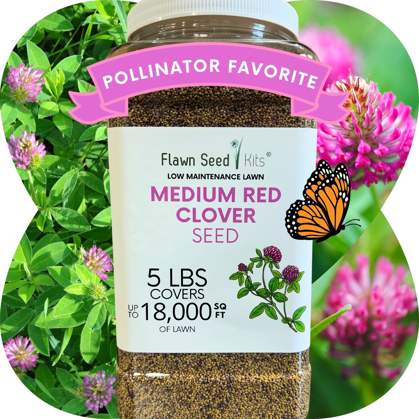 Medium Red Clover Seed