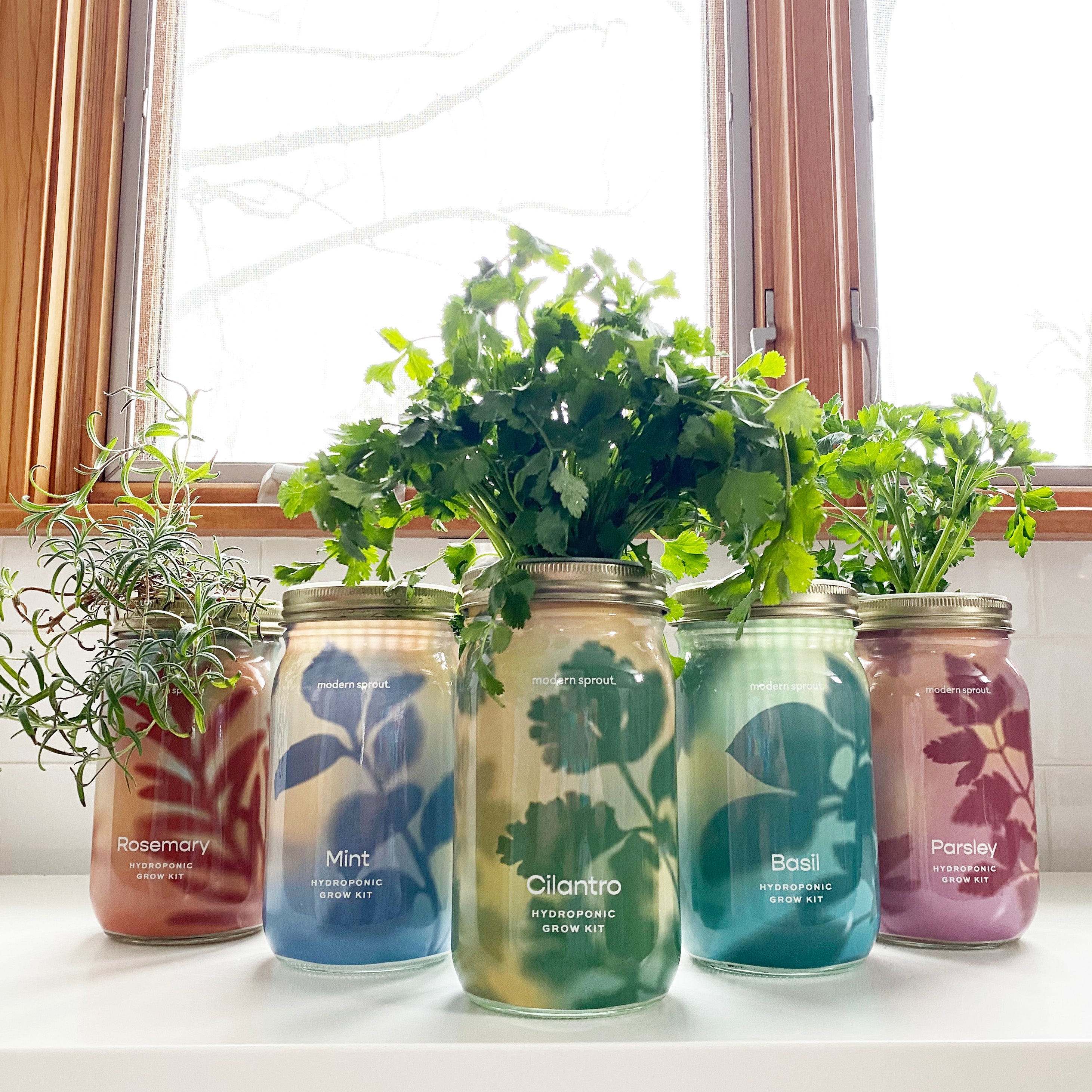 Garden Jars - Organic Herbs – Flawn Seed Kits