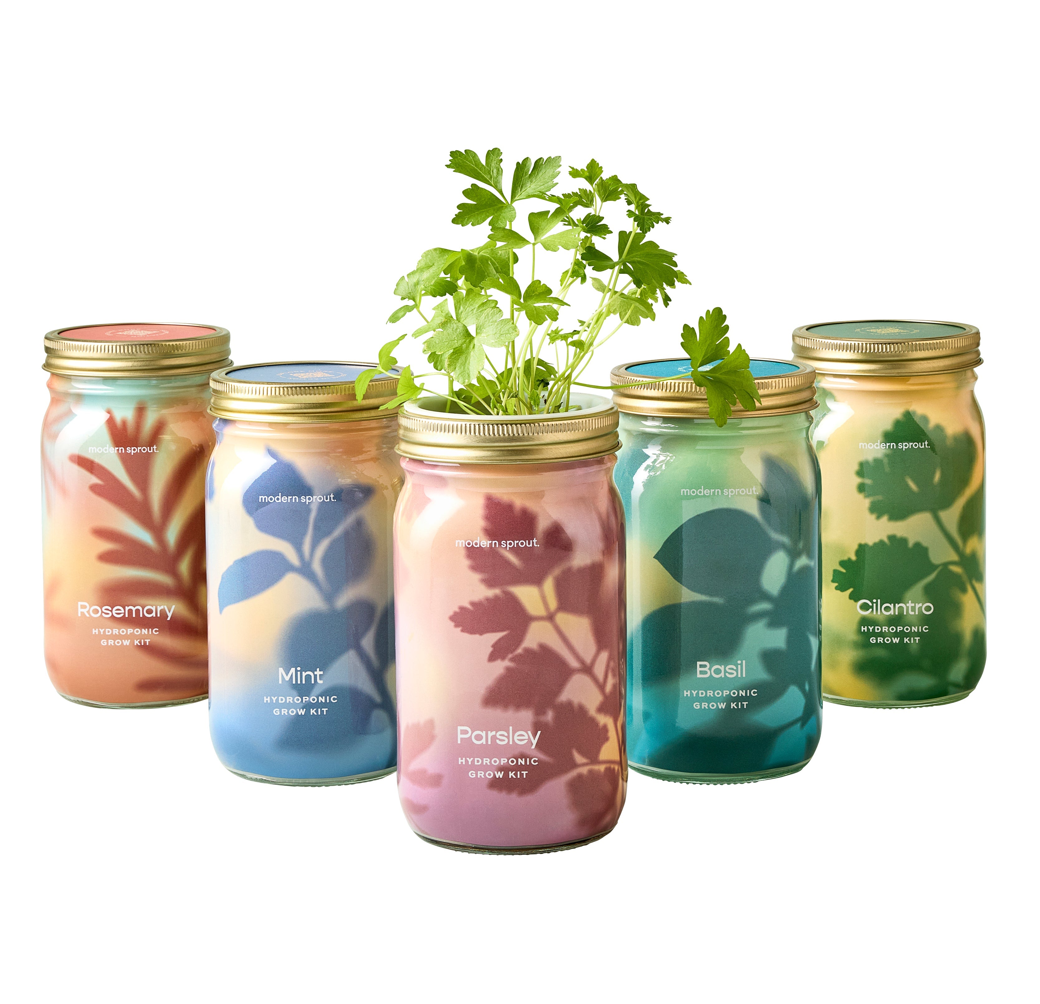 Garden Jars - Organic Herbs – Flawn Seed Kits