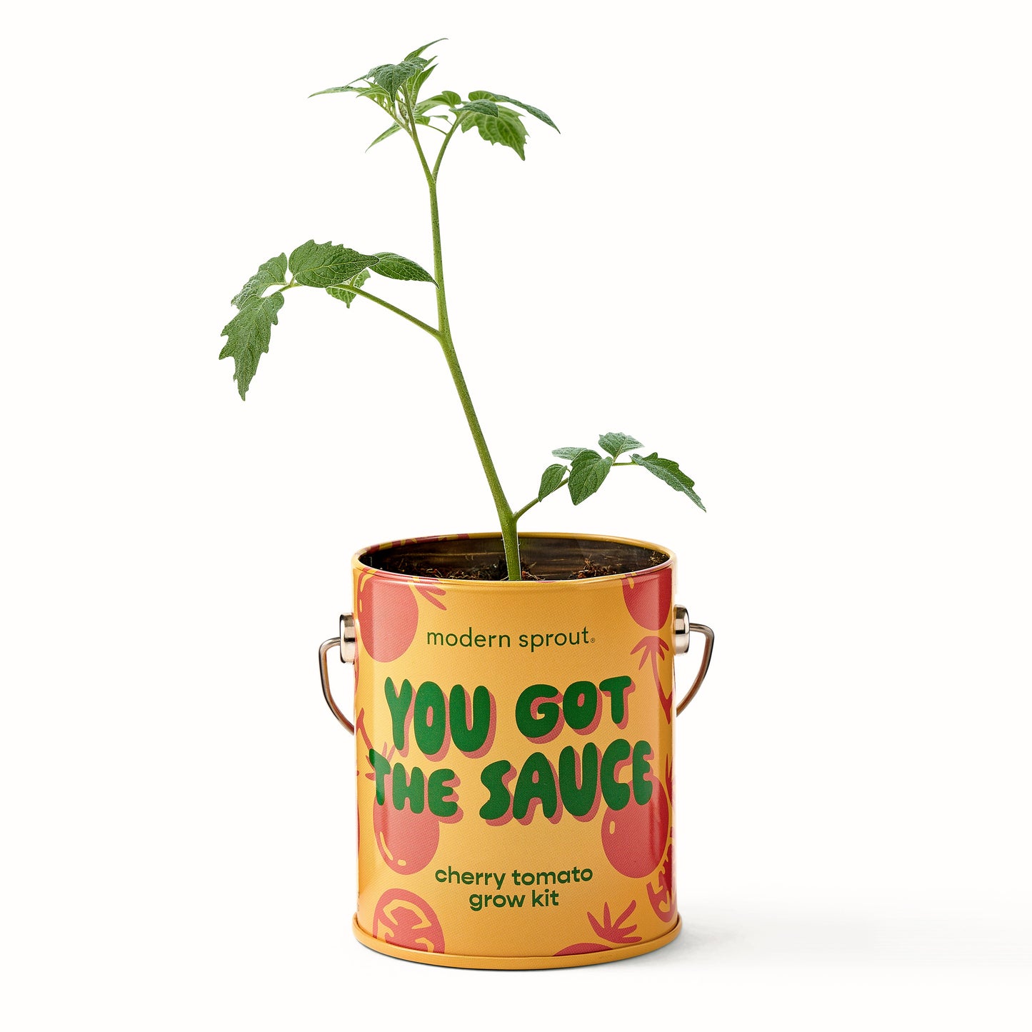 Complimentary Colors Grow Kits