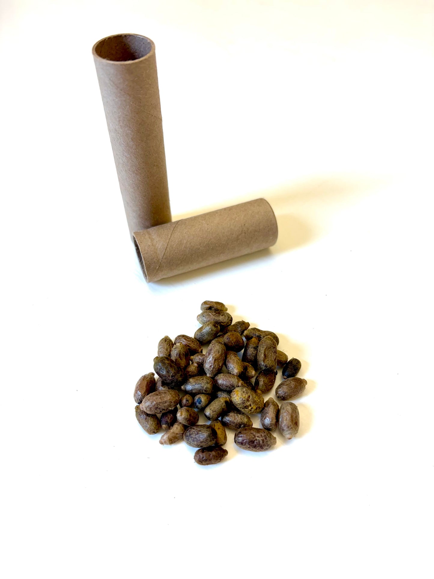 Buy Mason Bees | 40+ OBA Certified Cocoons with Free 2 Day Shipping