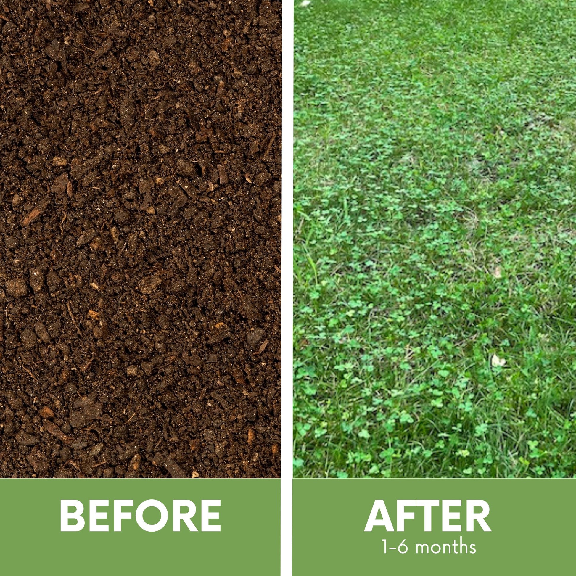 plant grass seed without straw Flawn Seed Micro Clover + Mow Less Grass Seed Kit - Kid, Pet, Pollinator & Eco-Friendly Grass Alternative