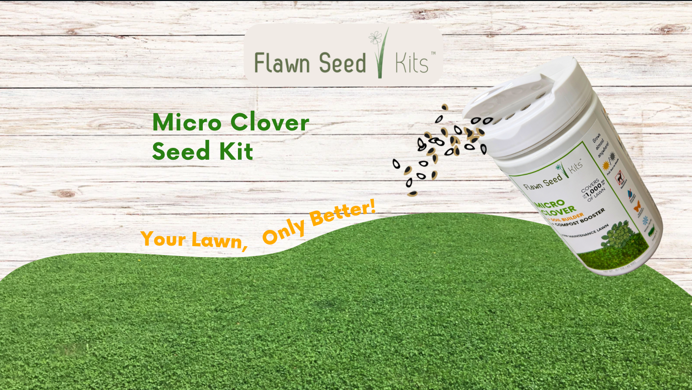 Load video: Micro Clover Seed Kit saves you time and money