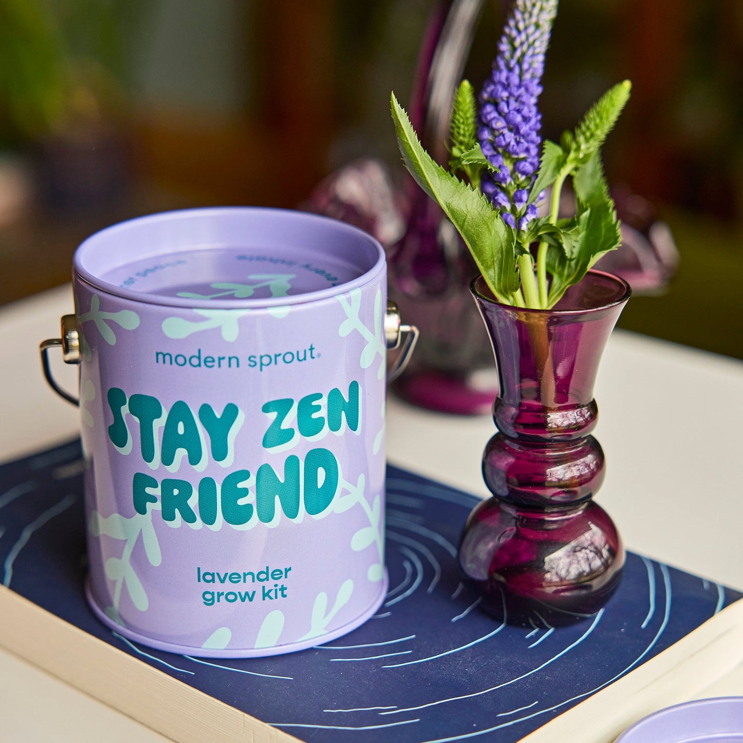 Complimentary Colors Grow Kits