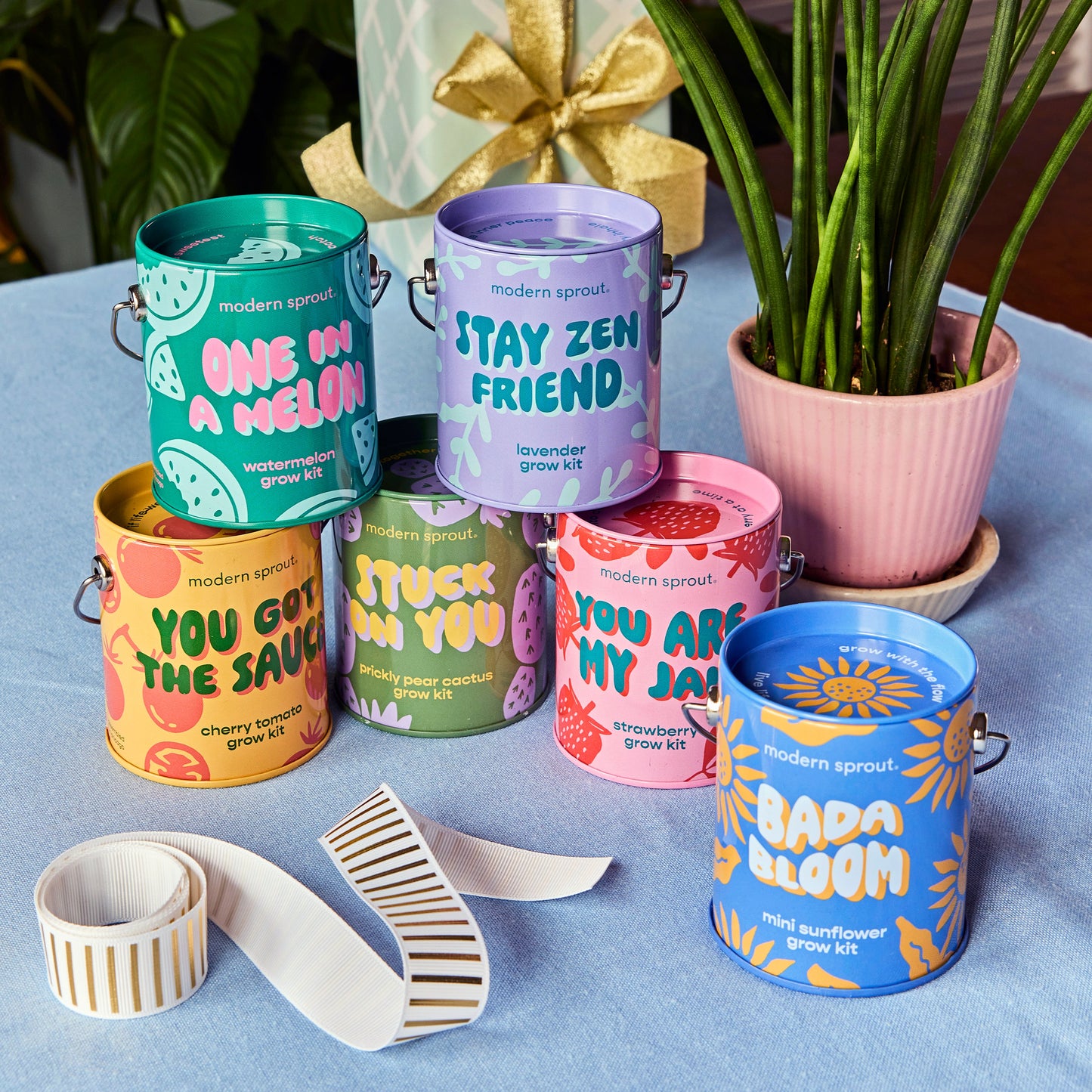 Complimentary Colors Grow Kits