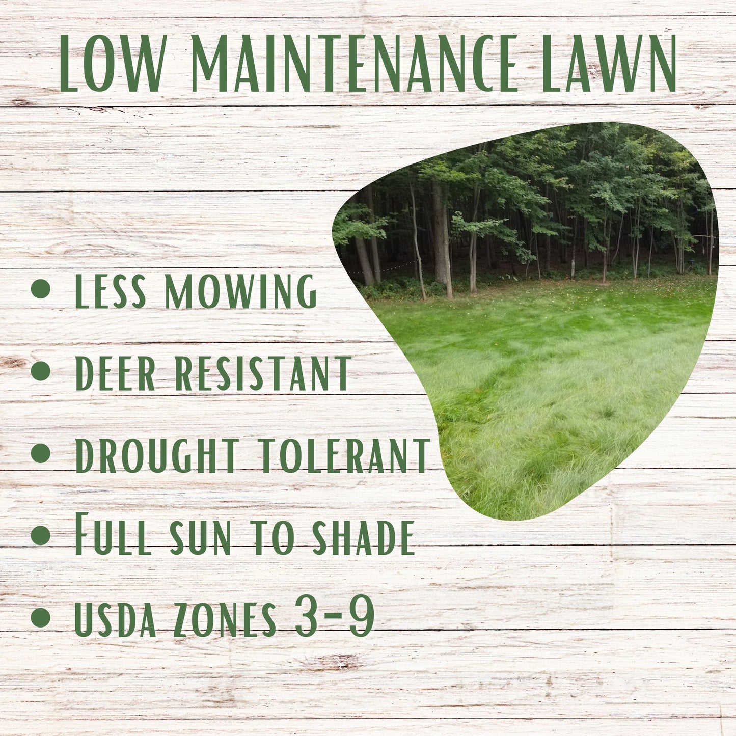 Mow Less Grass Seed