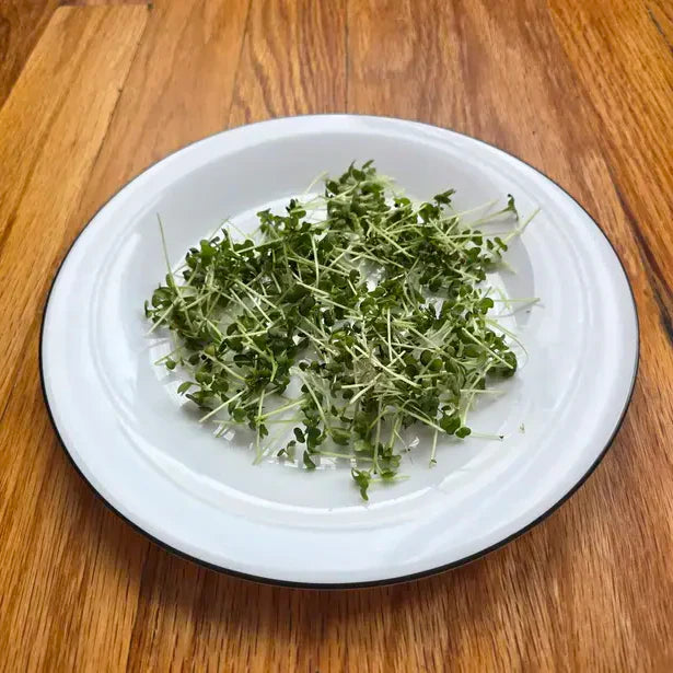Mustard Microgreens Seeds